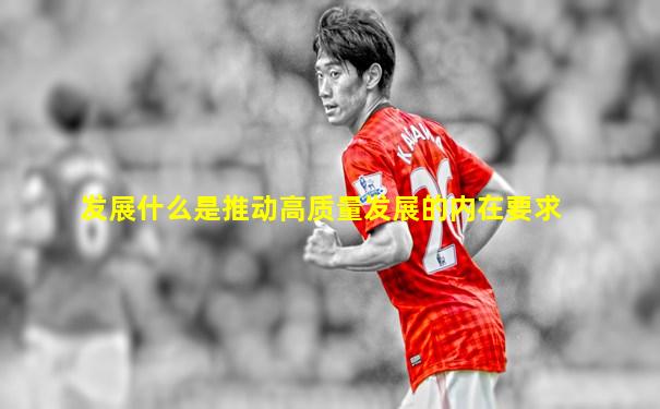 发展什么是推动高质量发展的内在要求