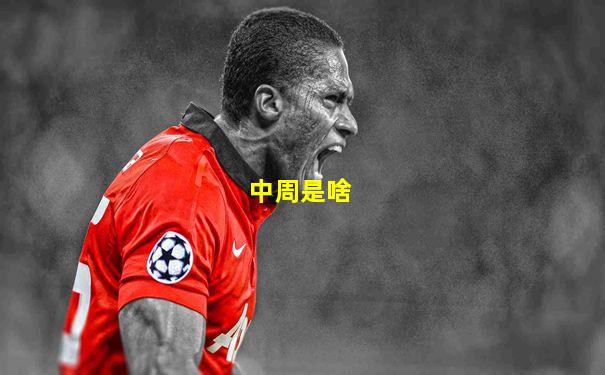 中周是啥