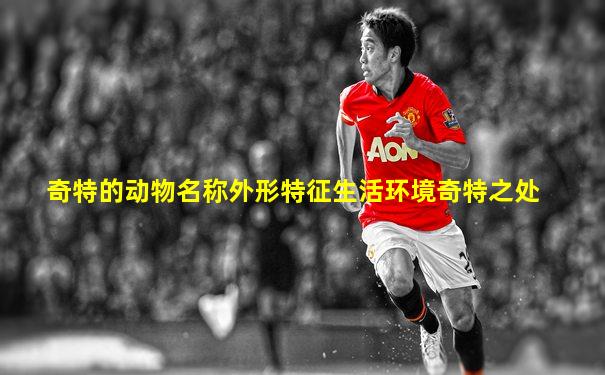 奇特的动物名称外形特征生活环境奇特之处