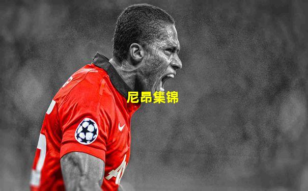 尼昂集锦